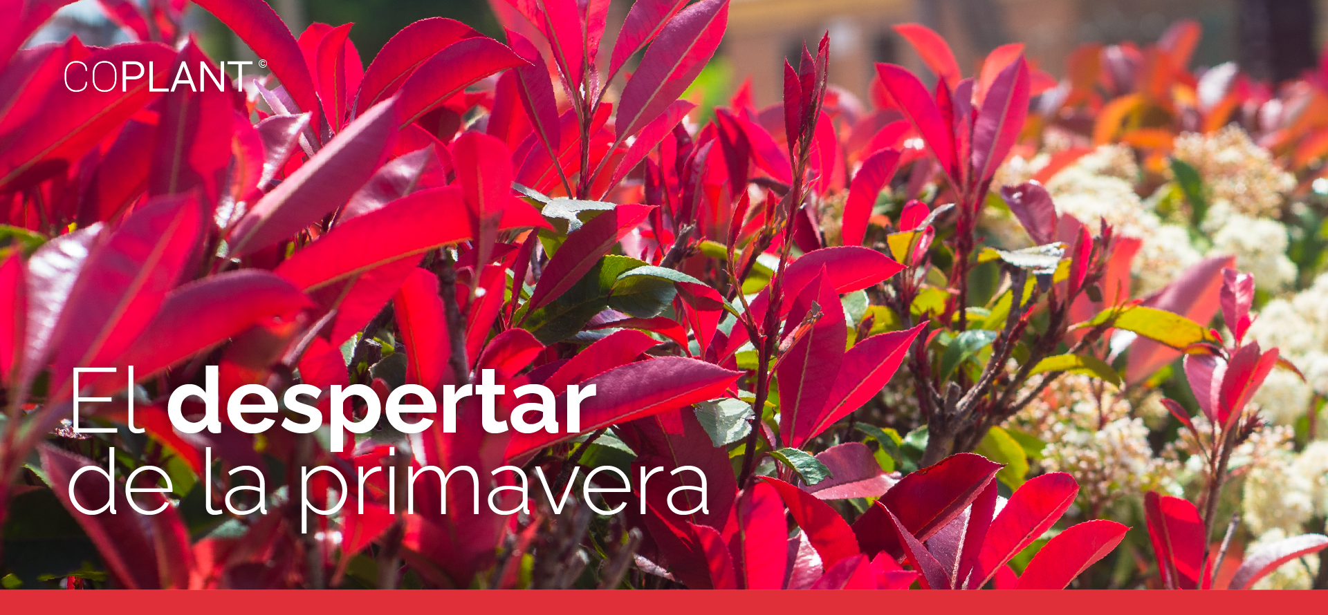 El despertar de la primavera