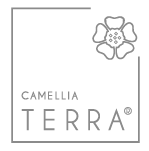 Camellia Terra